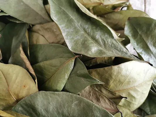 Soursop Leaves